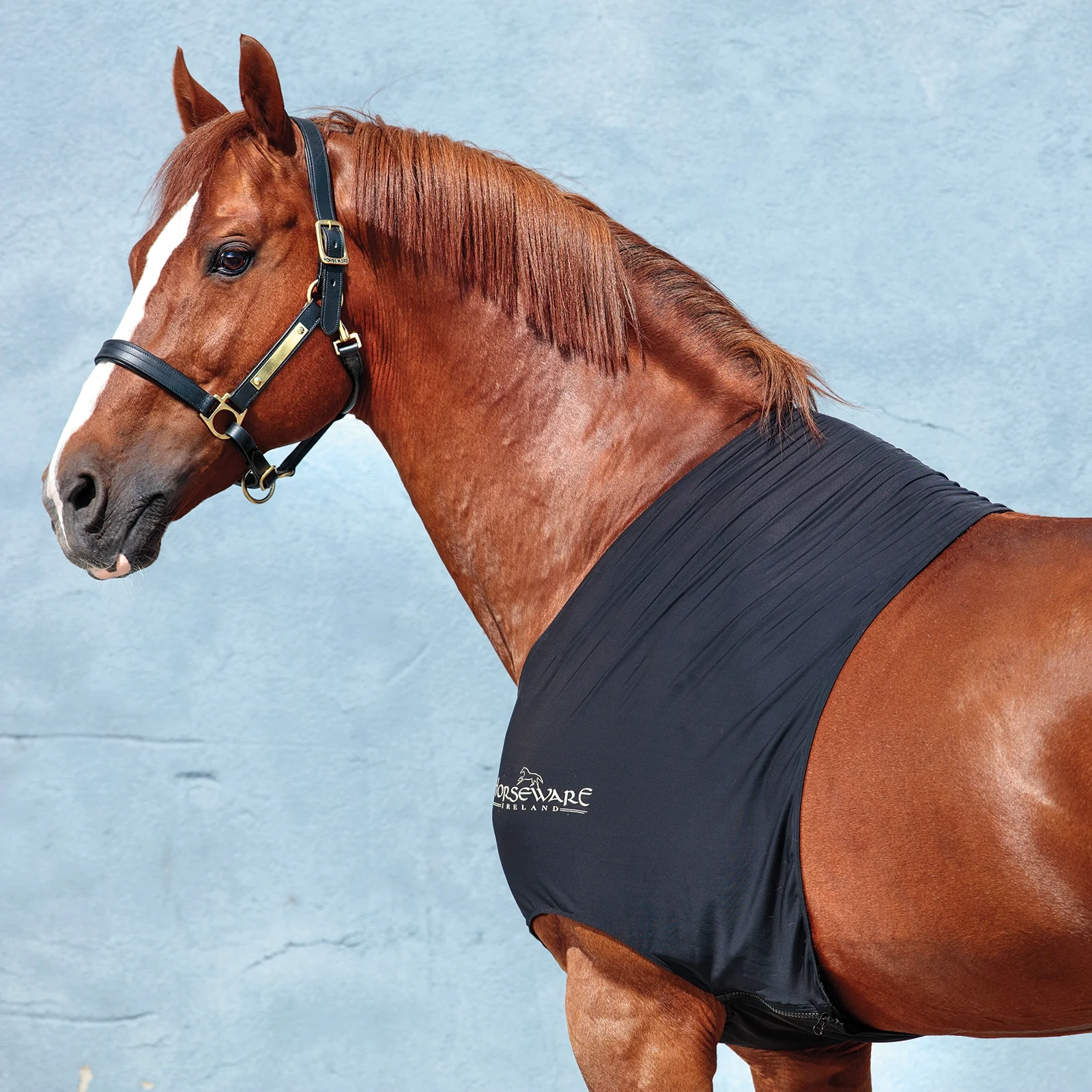 Rambo Slinky Shoulder BL S