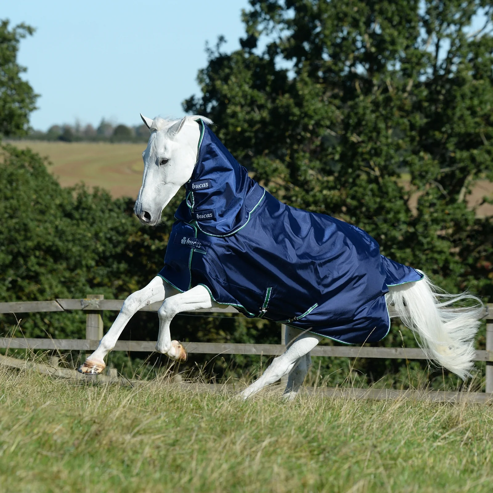Smartex Combi Neck 300 Blue M