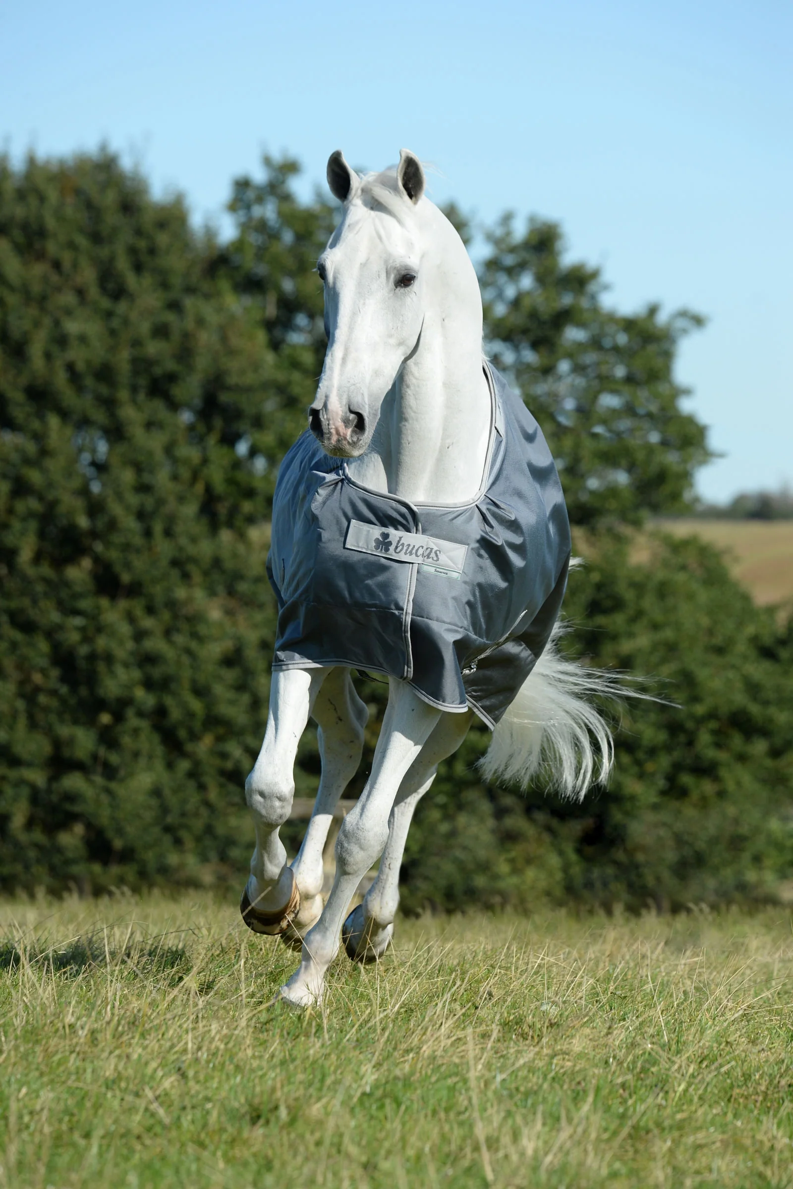 Smartex Medium Turnout Rug, 150g Iron Grey 140 - Image 2