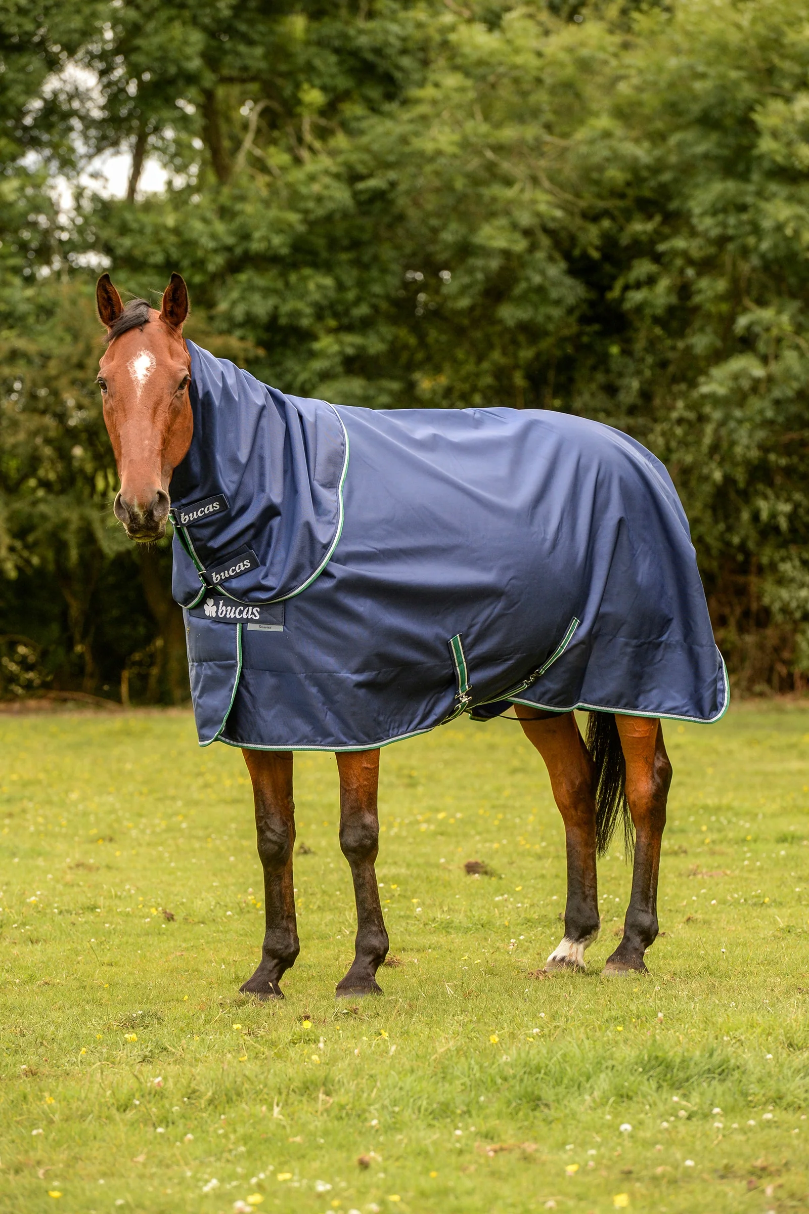 Smartex Rain Pony Turnout Rug with Cooling Function, 0g Blue/White 110