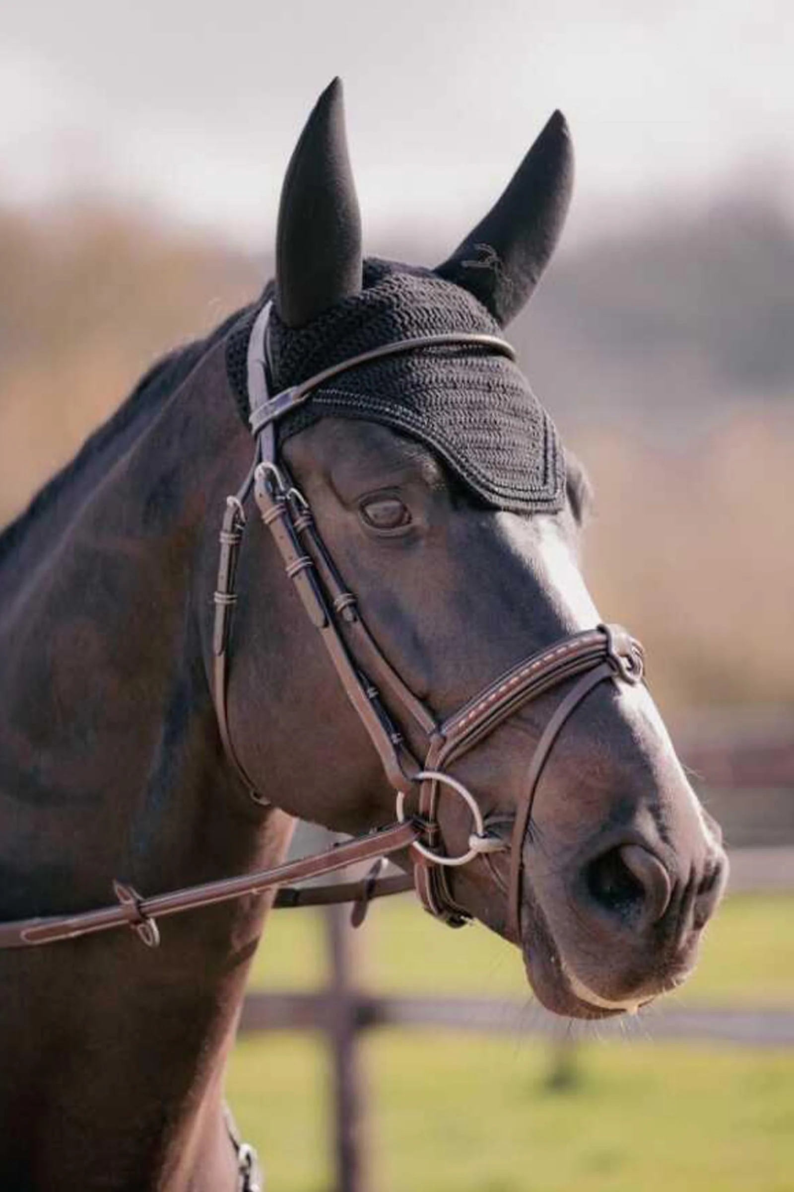 Soundless Fly Mask With Strass Black C