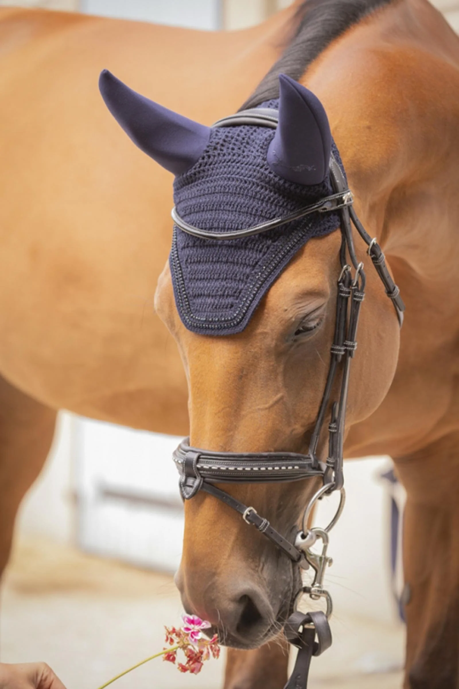 Soundless Fly Mask With Strass Navy F