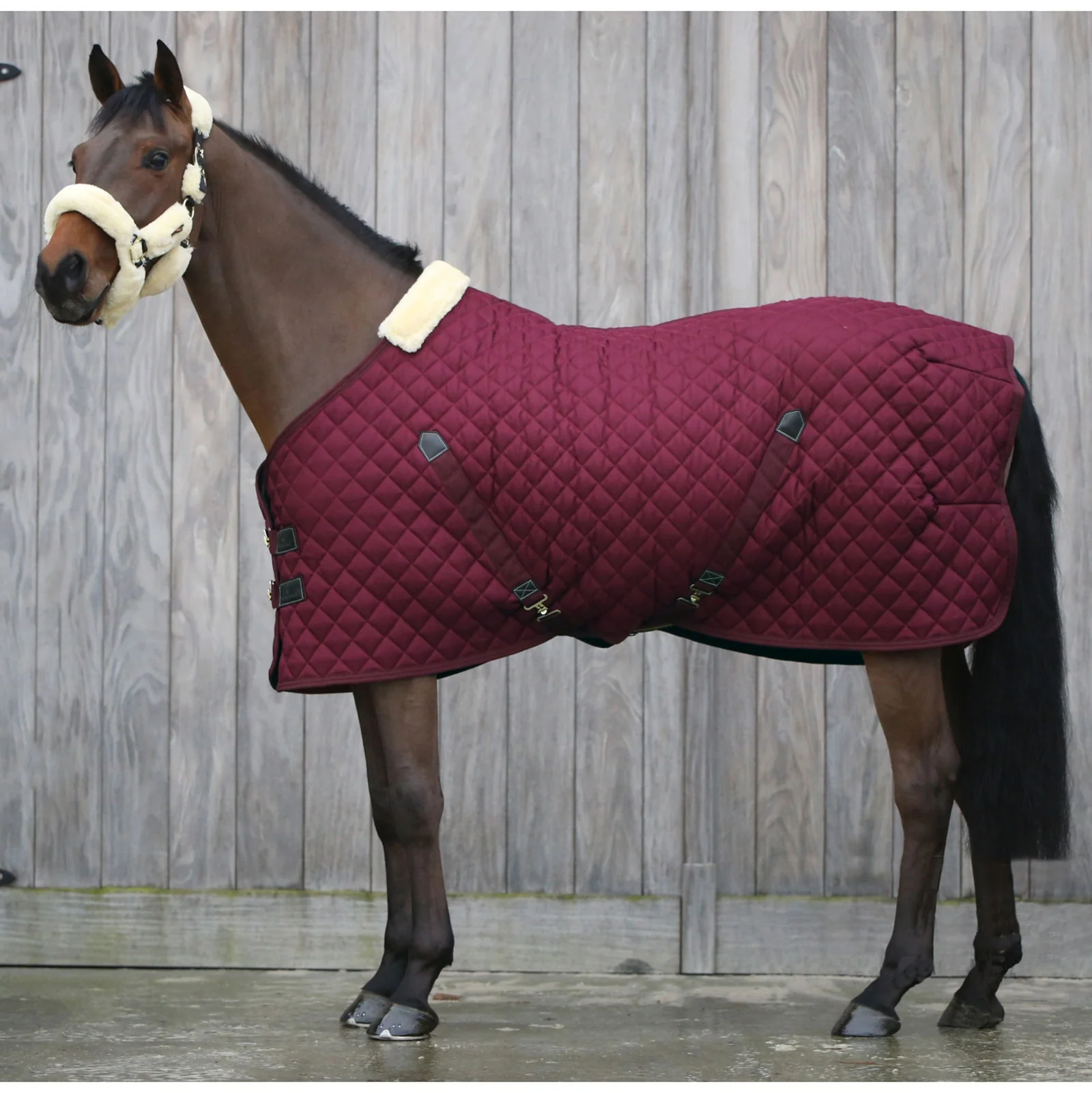 Stable Rug, 400g Dark Red 160
