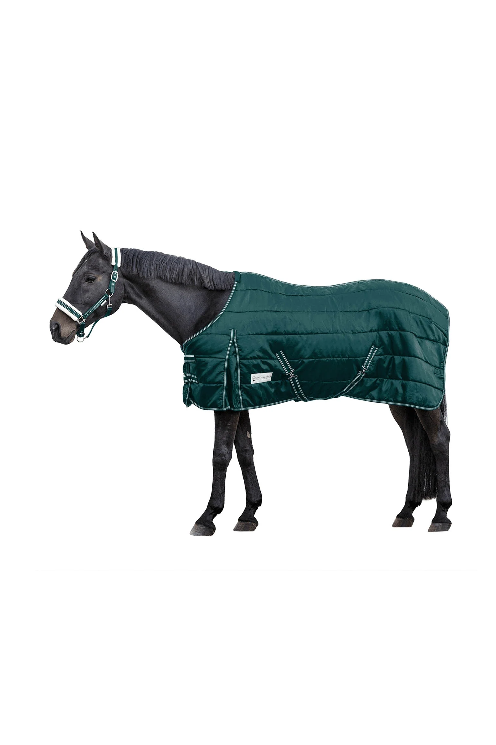 Stable rug Economic 200 g Fir Green 125