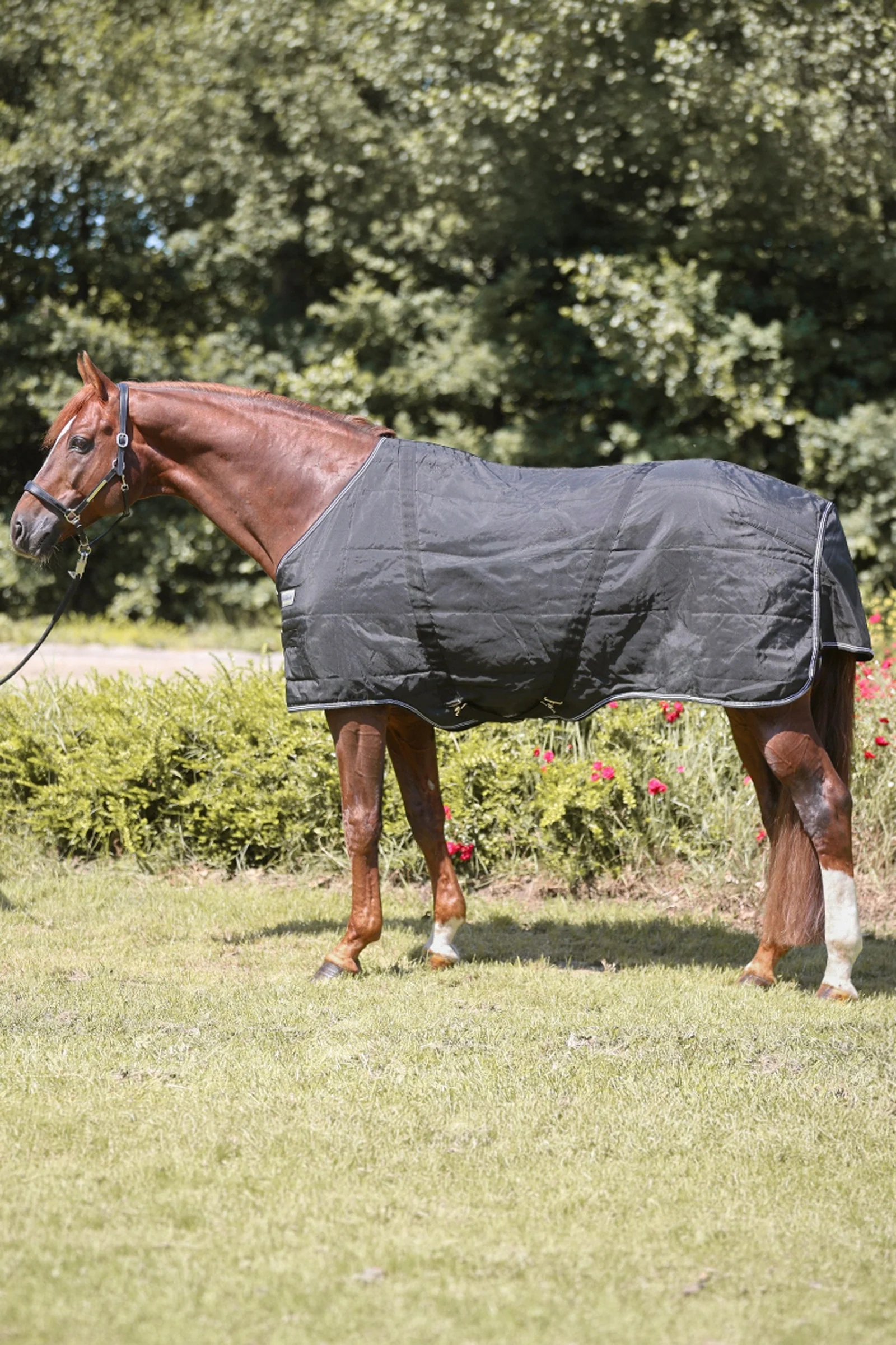 Stallion Rug, 200 g Black 145