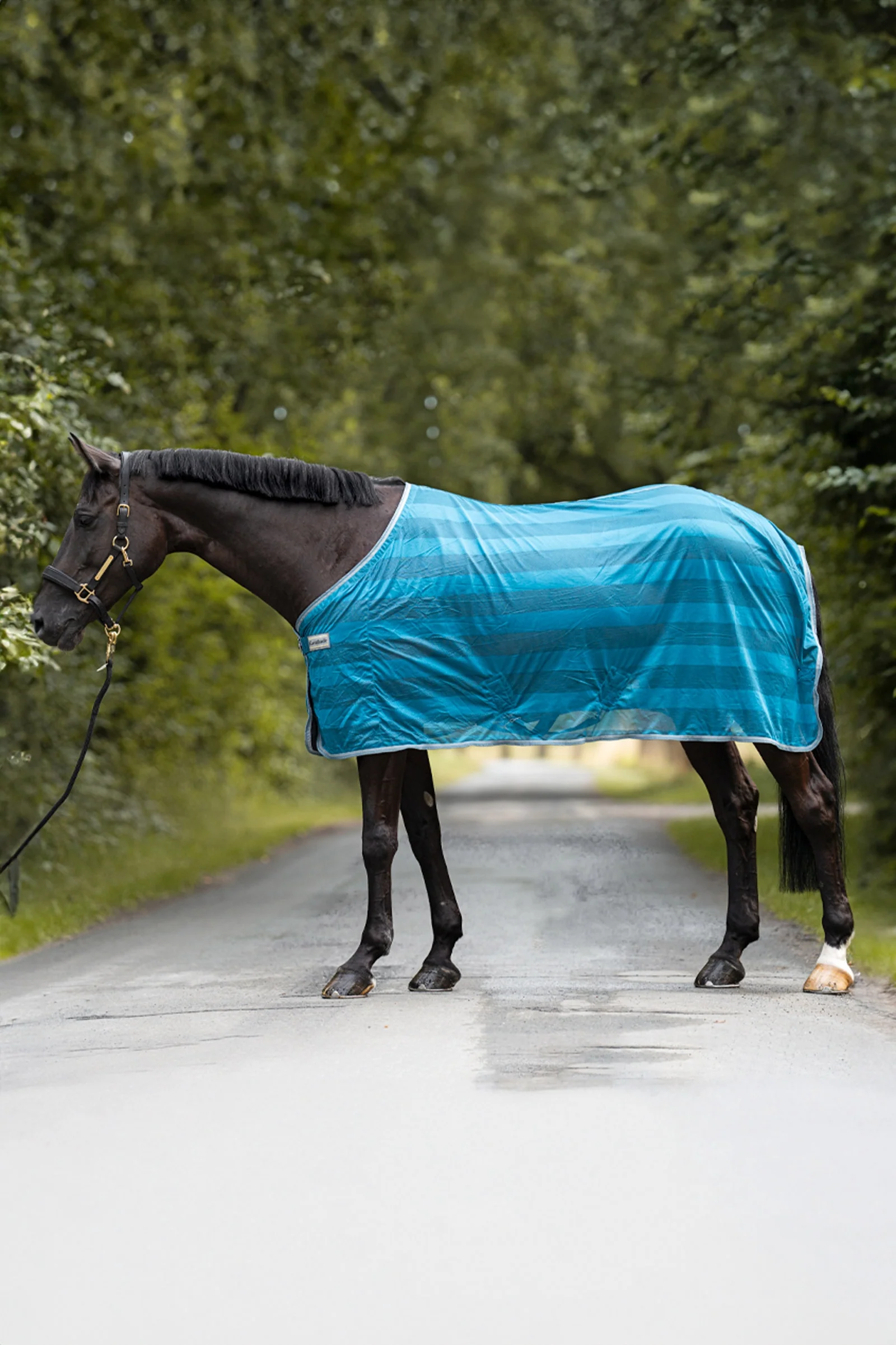 Stripe Fly Rug Petrol/Petrol 135