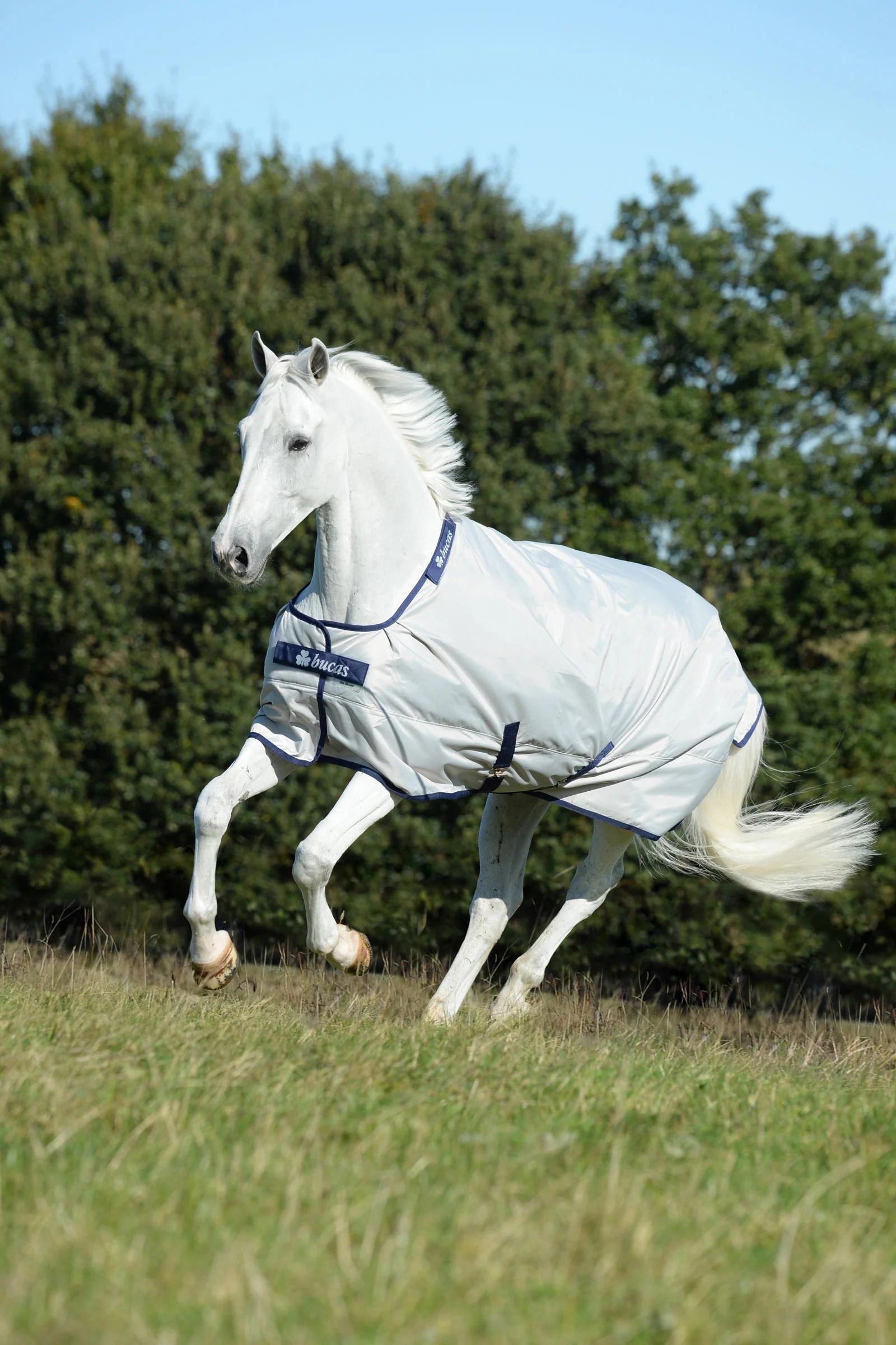 Sun Shower Turnout Rug, 0g Silver 165 - Image 2