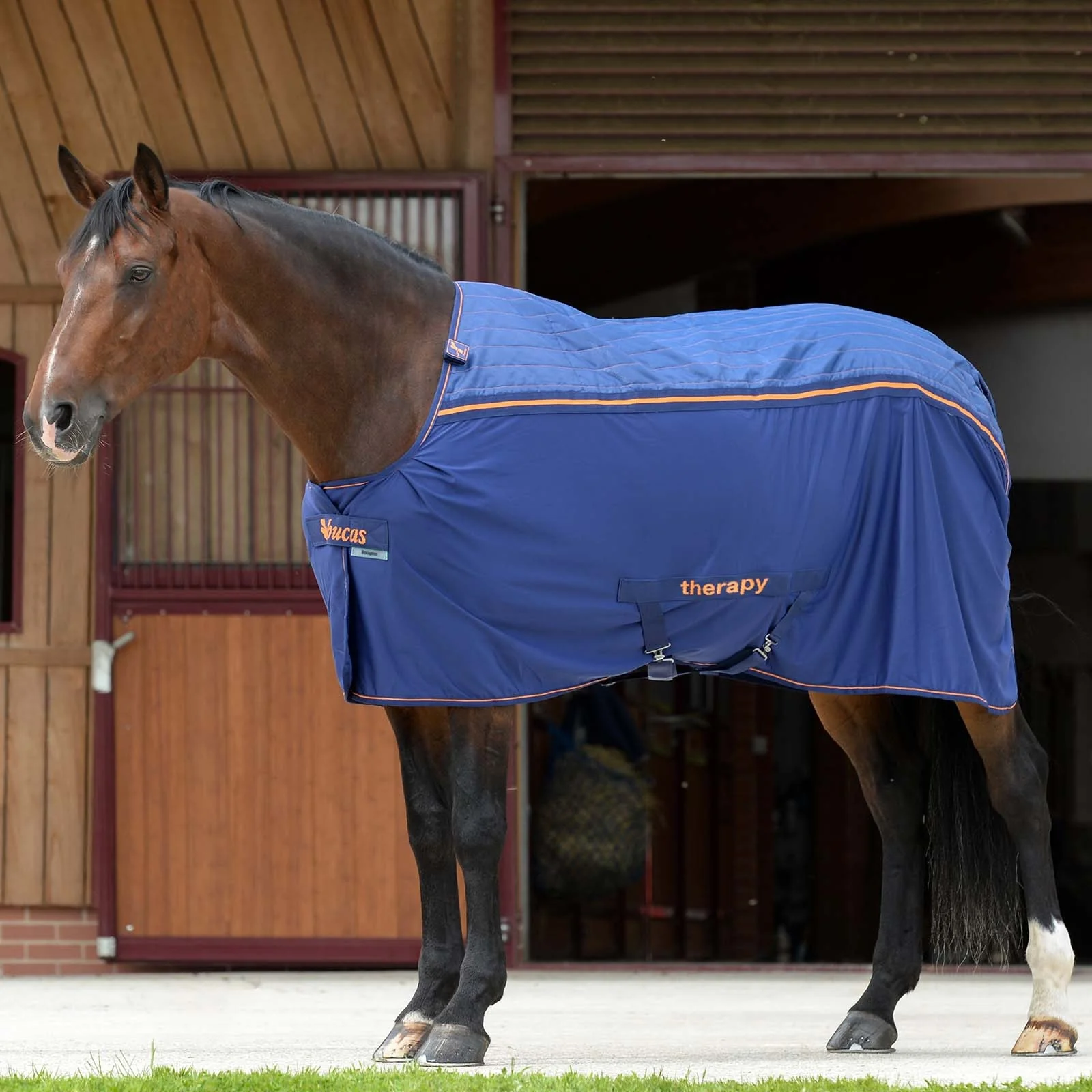 Therapy Cooler Big Neck DB/DB 165
