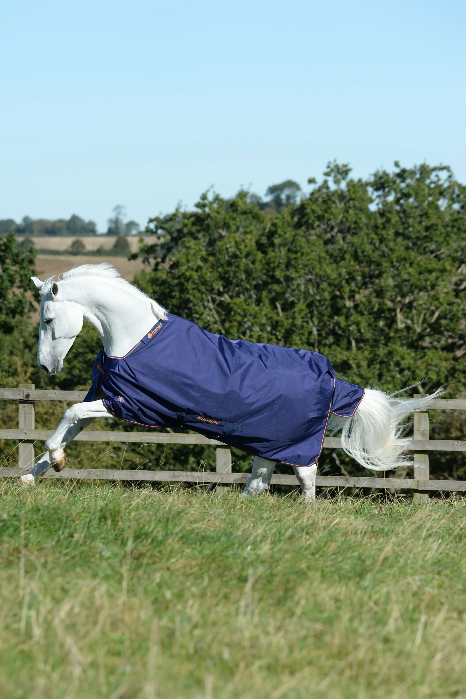 Therapy Turnout Rug, 150g Dark Blue/Dark Blue 135