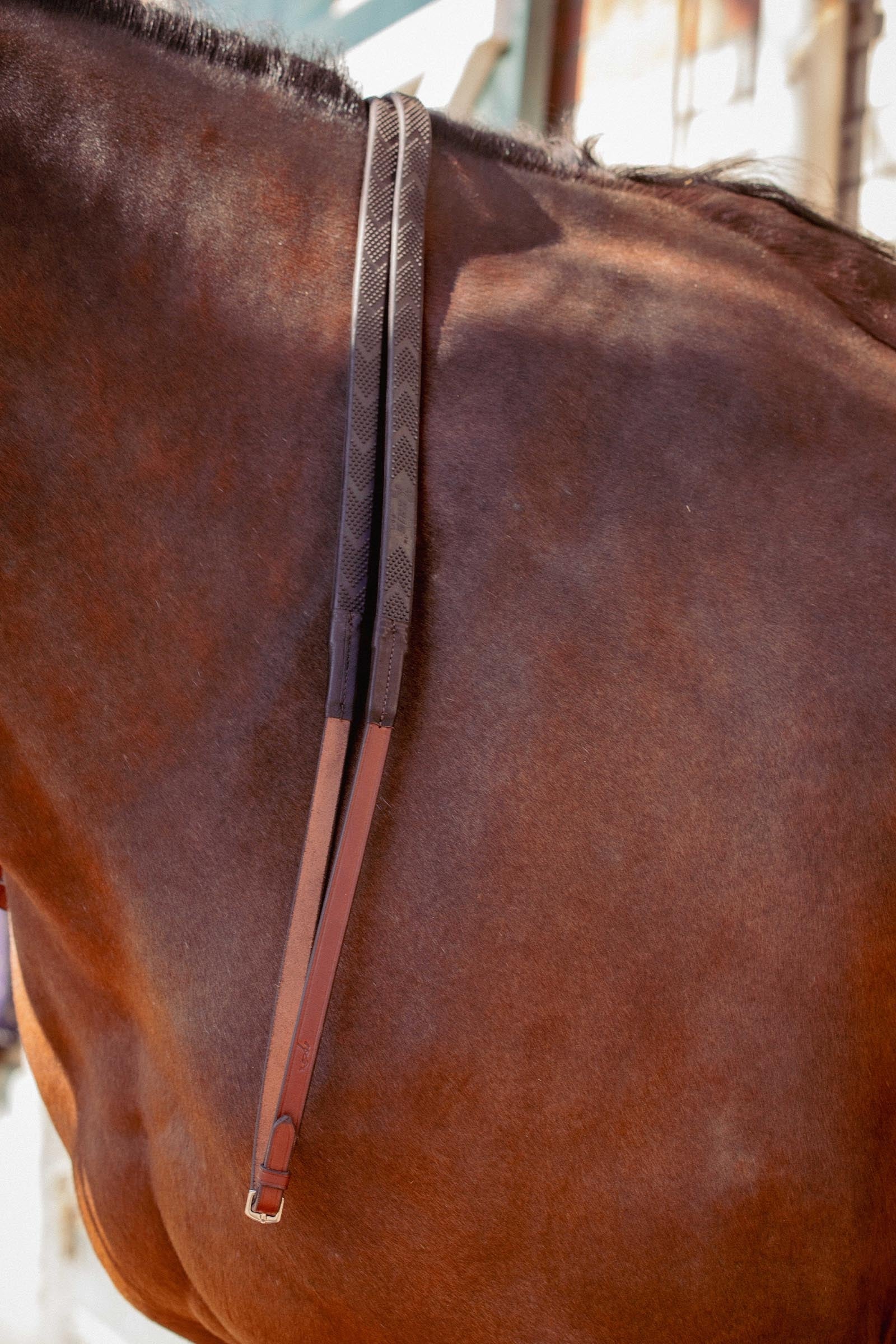 US Rubber Reins Hazelnut F