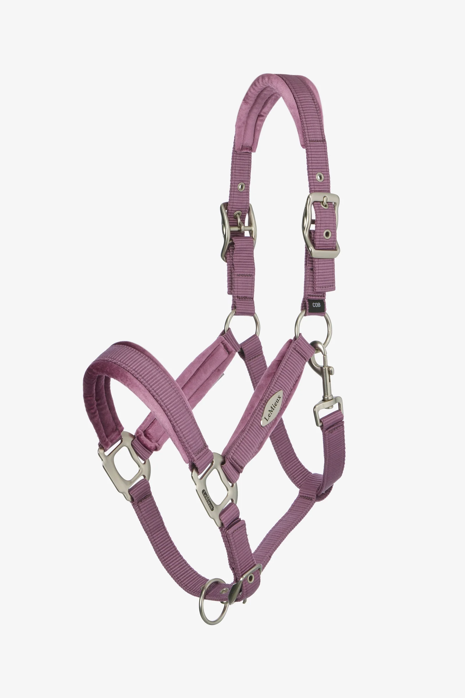 Versailles Headcollar Mallow C