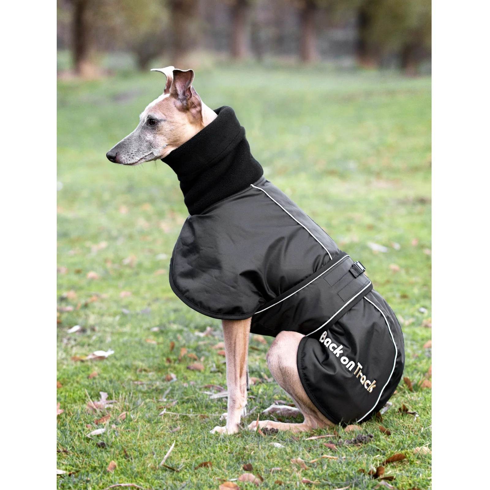 Whippet Dog Rug, L-XXL Black XXL